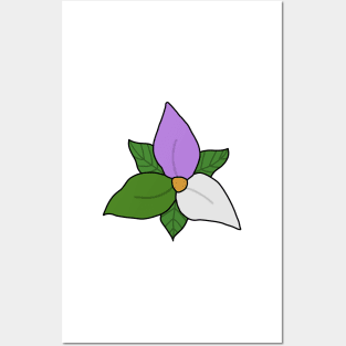 Genderqueer pride flower Posters and Art